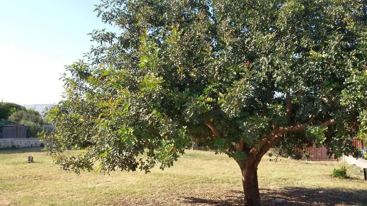 Dimore Del Carrubo - Villa Con Piscina Avola