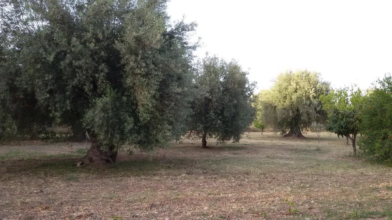 Dimore Del Carrubo - Villa Con Piscina Avola